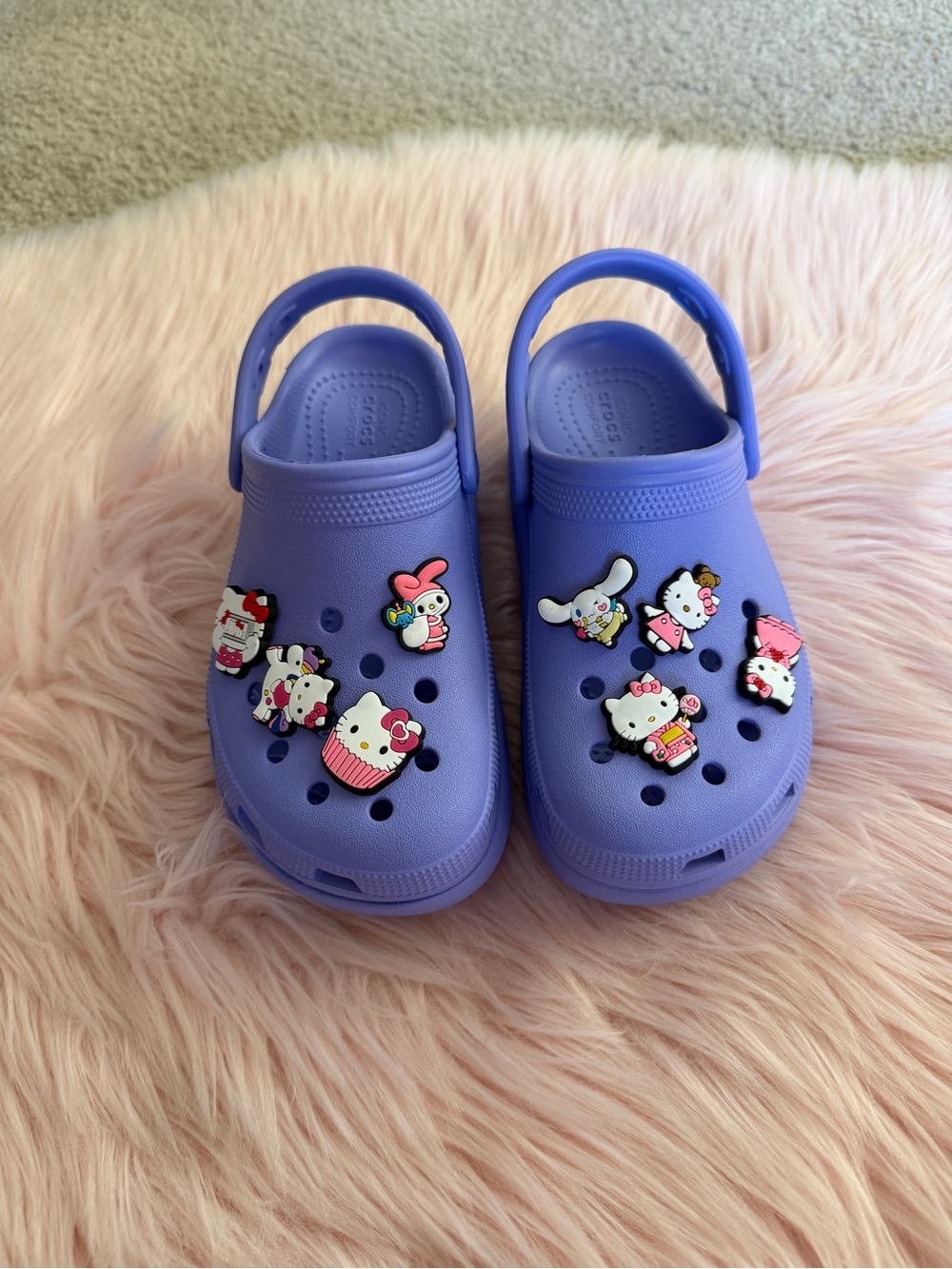 Crocs Sandals with Cute Character Charms